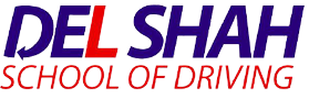 del_shah_logo 1
